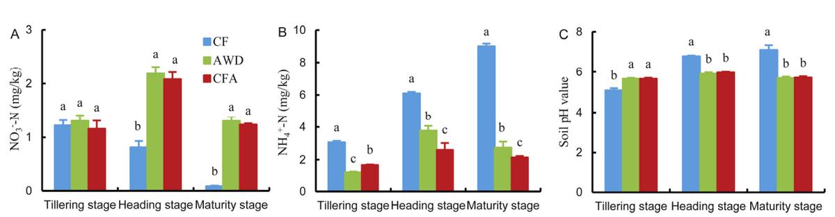 促进水稻氮素吸收利用的途径,促进水稻根系生长的措施