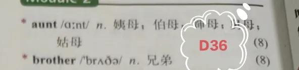 外研版七上英语单词朗读,外研版七上英语短语归纳