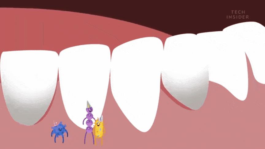 5岁小孩积食有口臭食物调理,含b族维生素的食物能去口臭吗