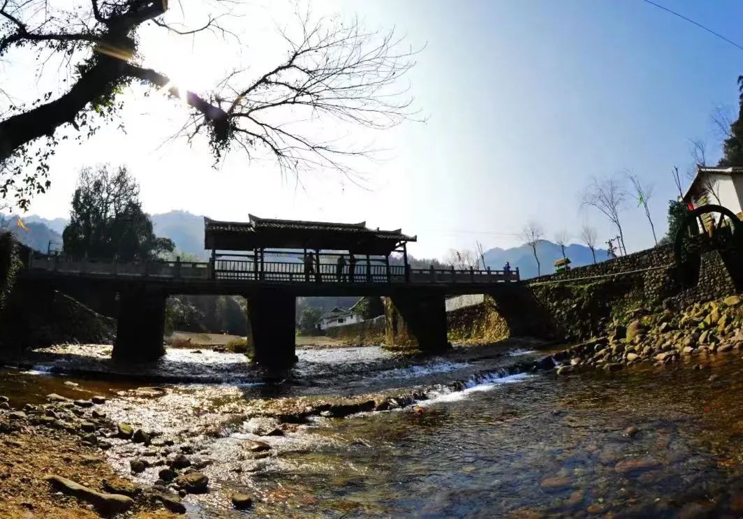 涓婇ザ閾呭北鐣叉棌椋庢儏,澶╀笅show