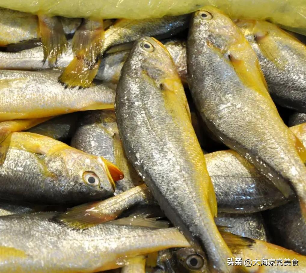 大连封海了还能吃的海鲜,大连开海吃海鲜攻略