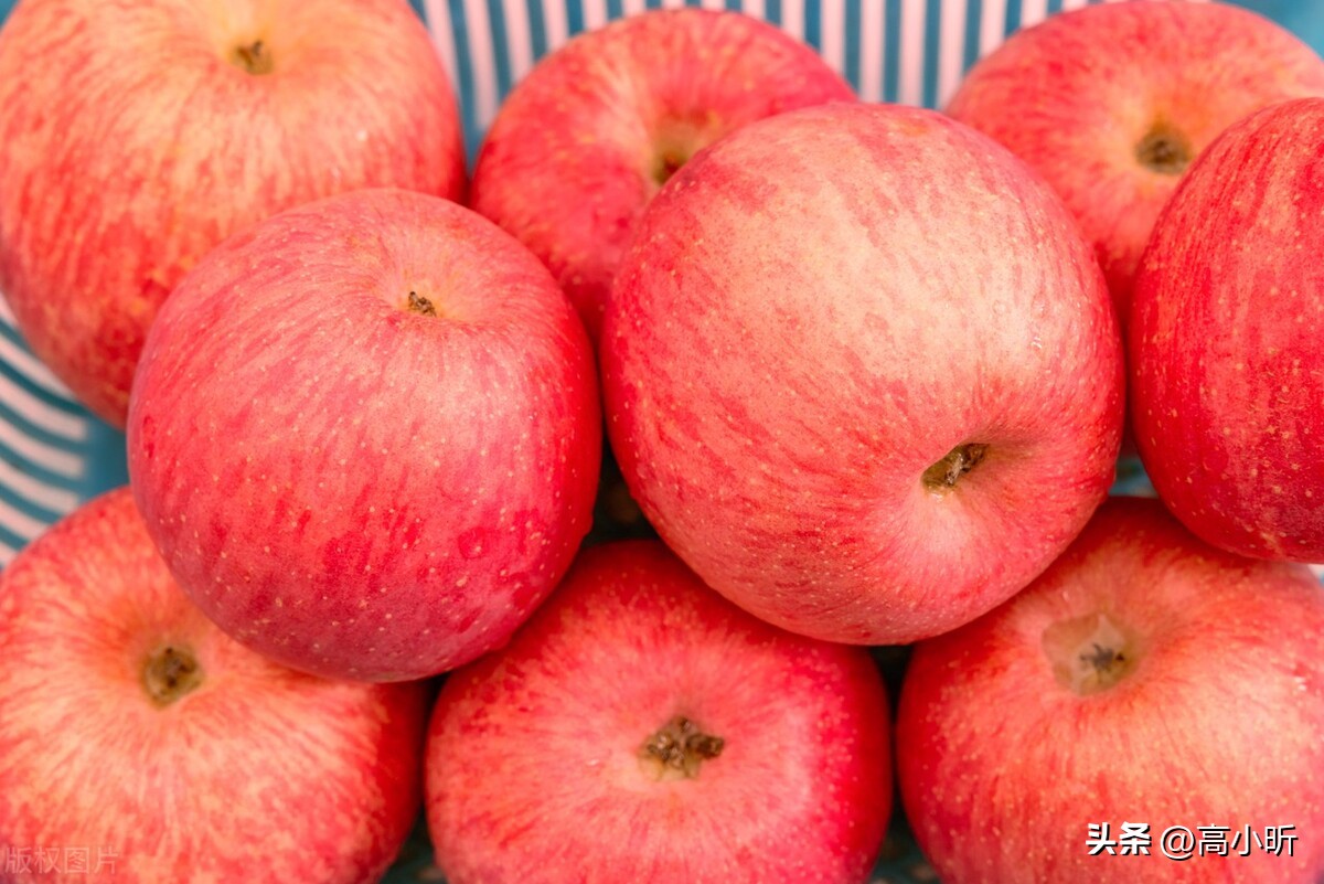 现在中国哪里的苹果最便宜最好吃,中国苹果口感最好的地方