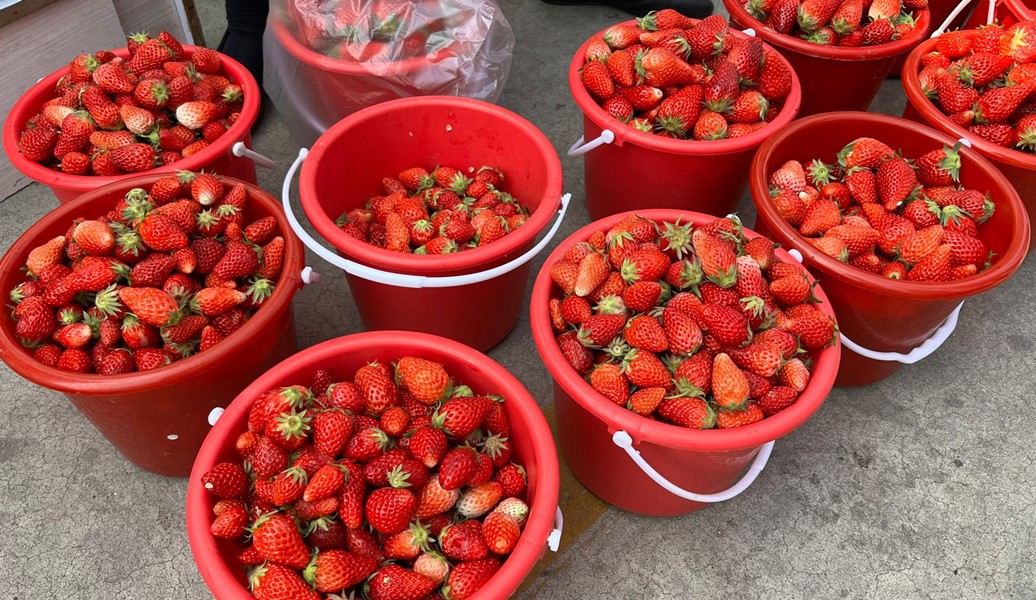 夏季遇到这碱性水果别错过,夏季多吃这六种碱性水果