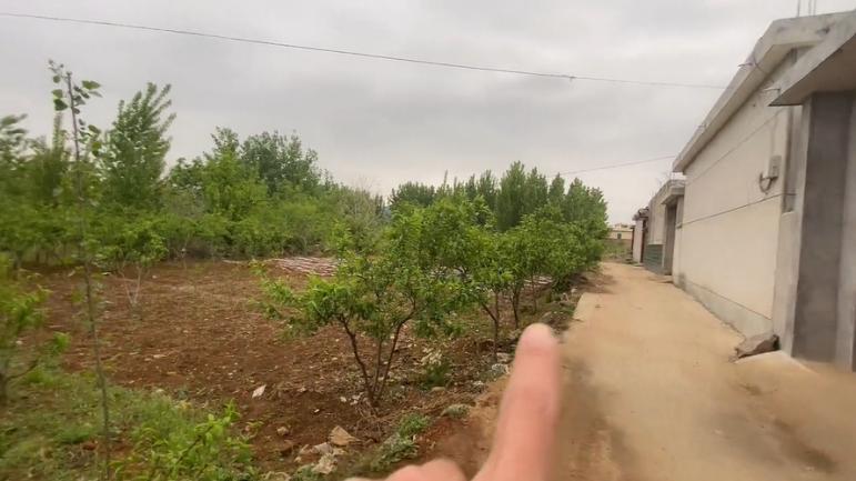 山东孕妇被性侵致死,可怜孕妇被暴打