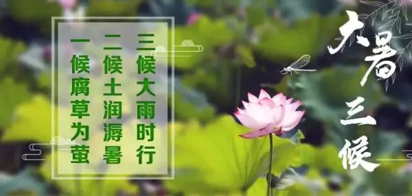 大暑的经典古诗词大全,大暑近三秋