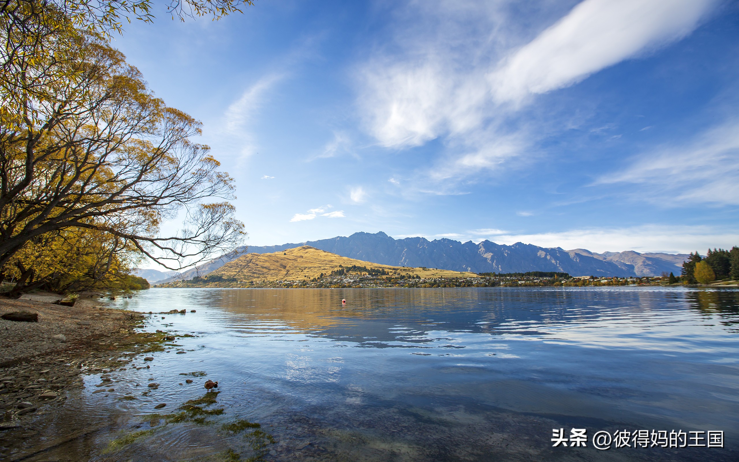 谁发现了新冠有传染力,谁发现了新一的身份