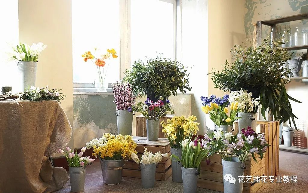 花店店铺起名创意大全集,开花店叫什么店名吸引人气