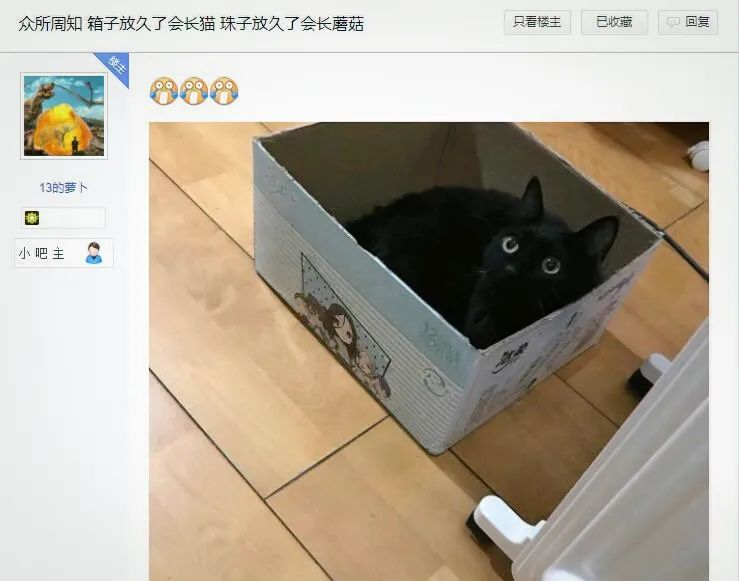 凤眼菩提长串盘玩,凤眼玩长串还是短串