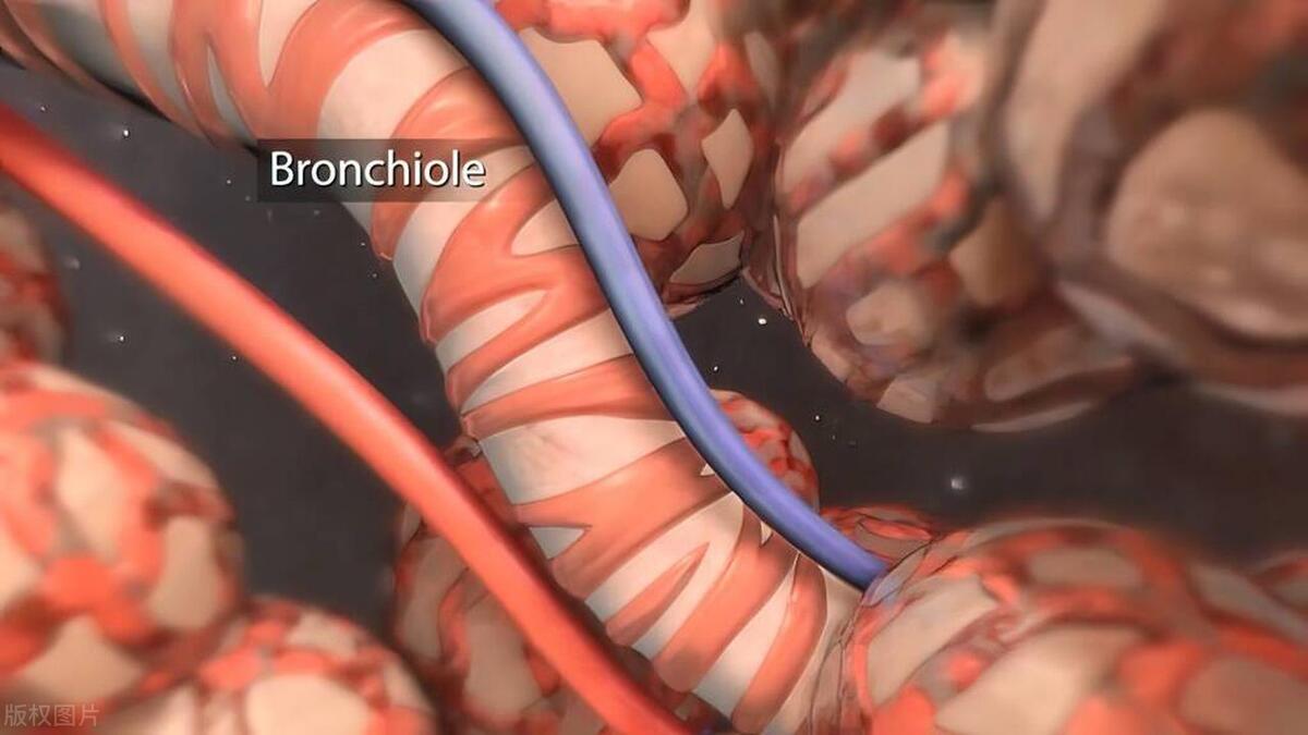治疗慢性阻塞性肺病中药方子,中药怎么治慢性支气管炎