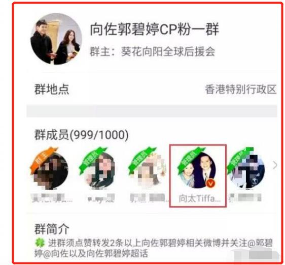 向佐夜会美女疑似出轨,向太回应:别多想,只是姐姐而已