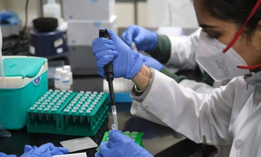 在城市3个人的活5个人干就业制度,对工作效率消极影响不言而喻