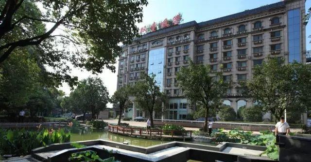 《0.0008元成*学功**》：揭秘鸡毛变黄金的秘密