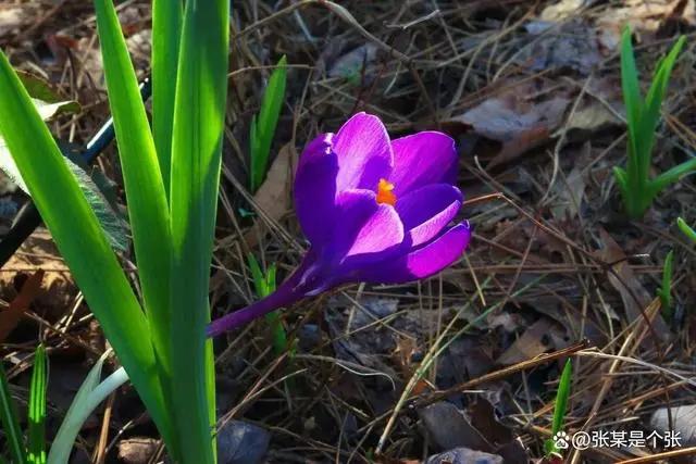 判断男人爱不爱老婆,判断男人爱不爱你的问题