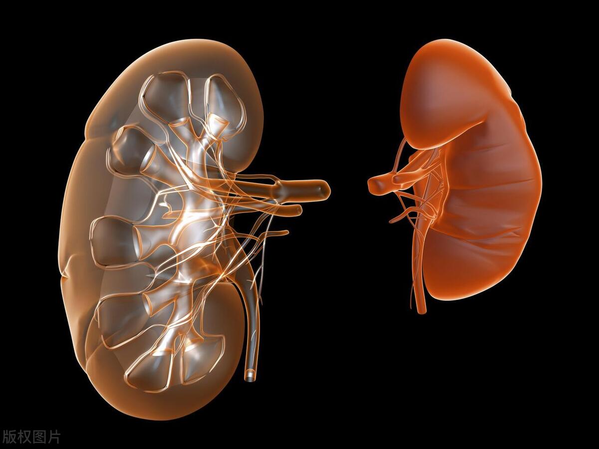 阳痿早泄吃什么中药调理,阴阳两虚致阳痿需要多久治疗