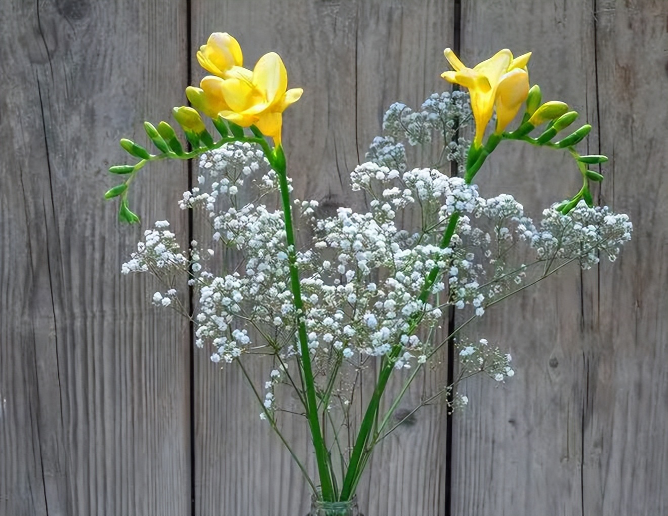 男女之间的10个真相太扎心了,男女之间真正应该了解的是什么