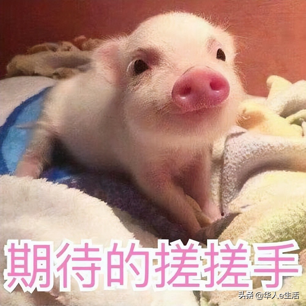 印尼卡怎么充值,印尼电话卡怎么充值