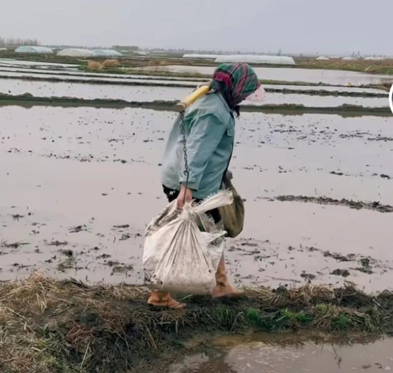 直播人气100万以上,直播人气突破100万