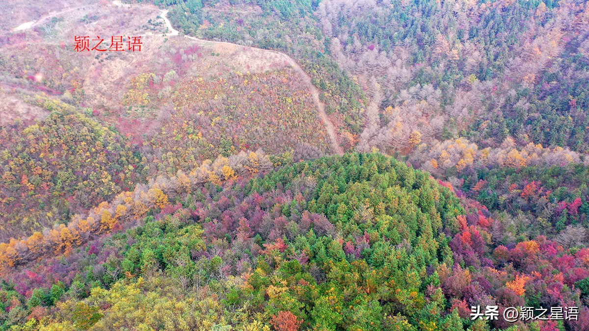 宁波黄金谷景区,宁波黄金谷