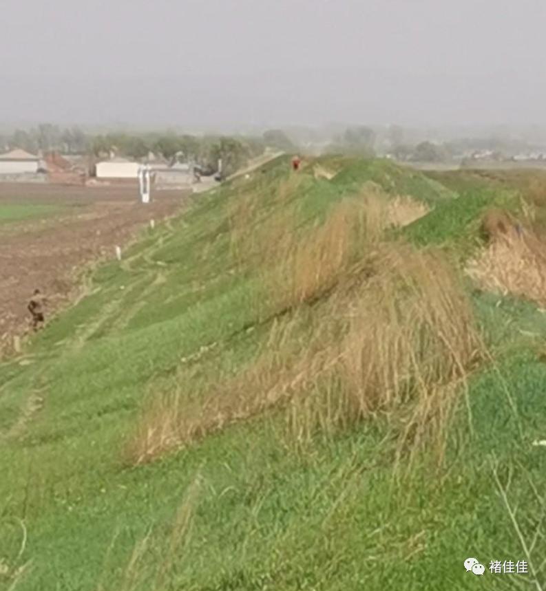 宋朝金元城,宋朝都城长安城