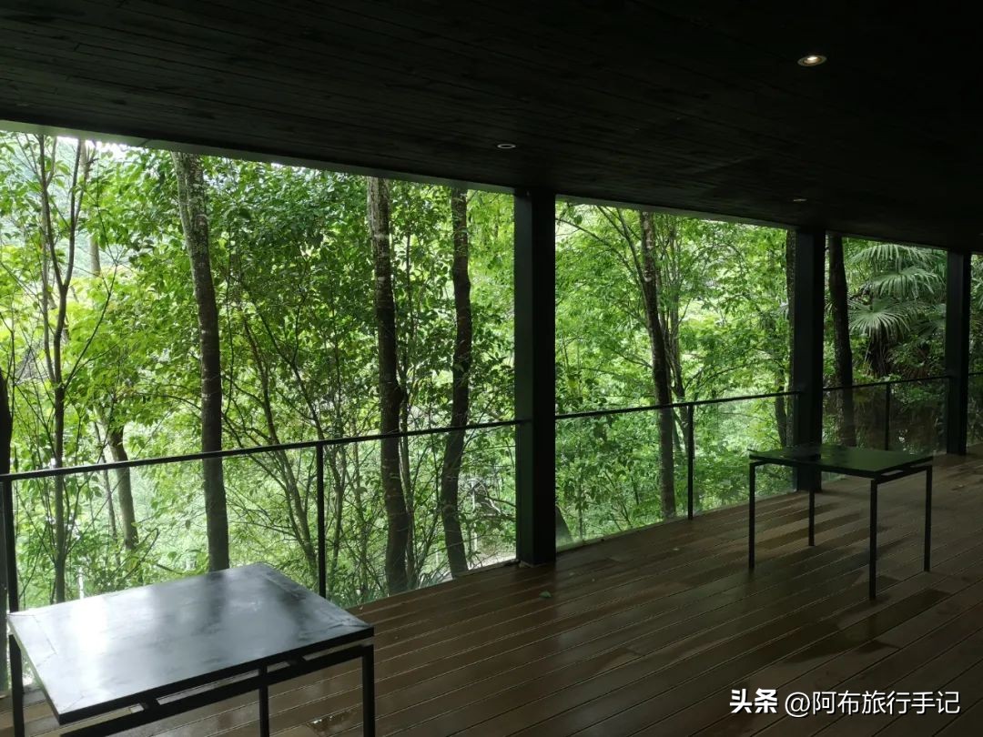 还没来得及去日本，却在秦岭来了趟值回东京票价的旅行