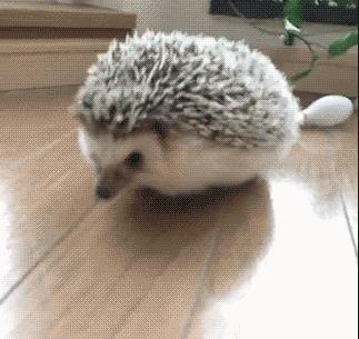 推荐6款亲子互动类游戏,有趣的可以陪孩子玩的游戏