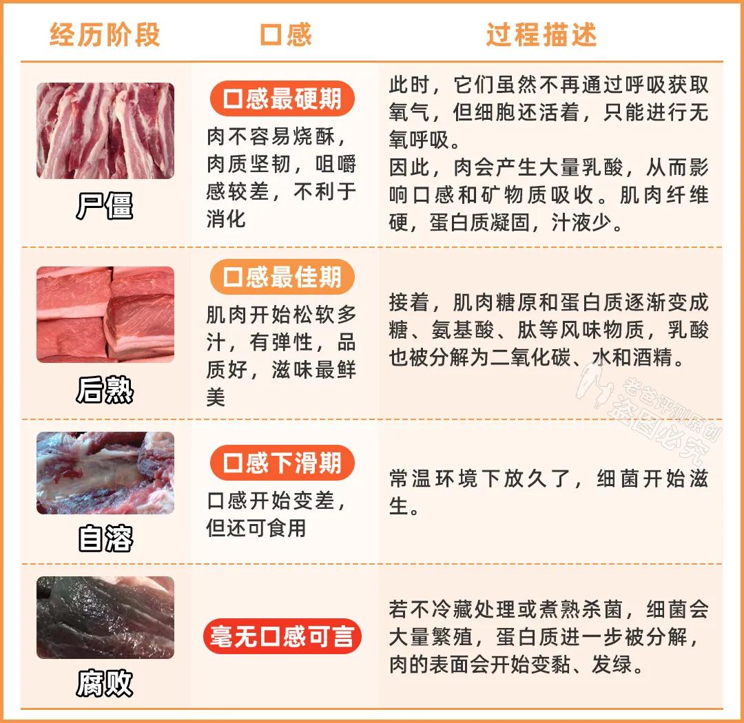 冷冻肉是僵尸肉,冷冻僵尸肉吃了的后果