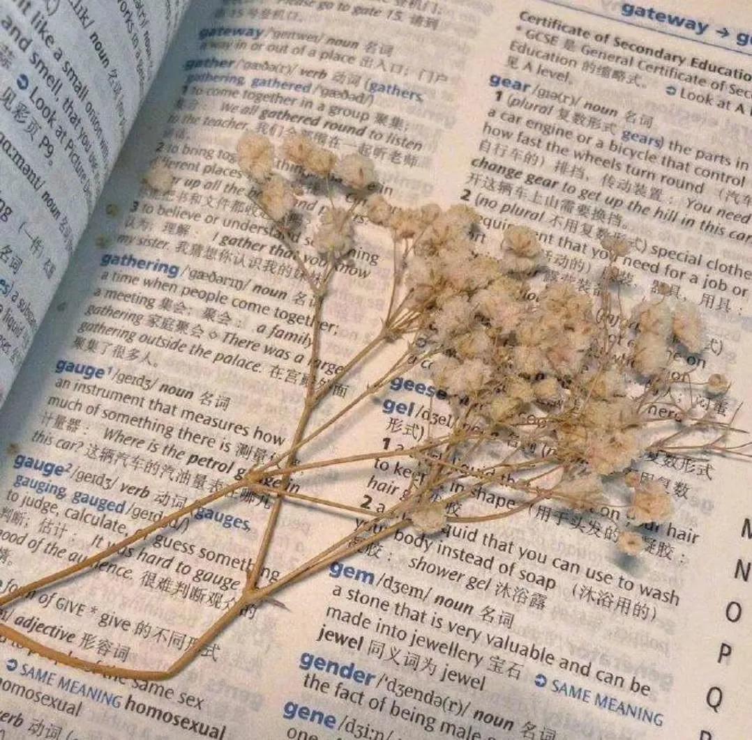 分享欲是最高的浪漫主义图片,分享欲是最高的浪漫主义长文