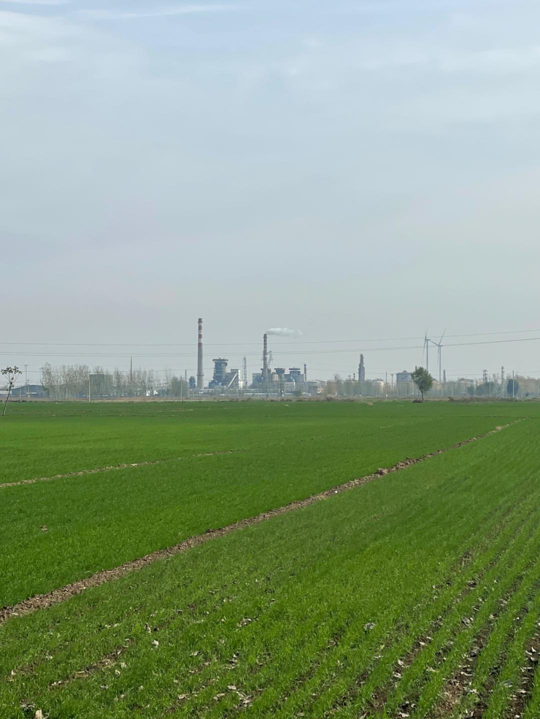 董董骑行山东,懂懂骑山东