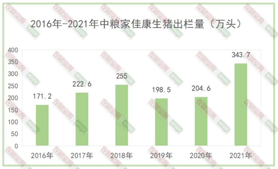 厉害!这家企业养殖成本为5.66元/斤,头均盈利780元