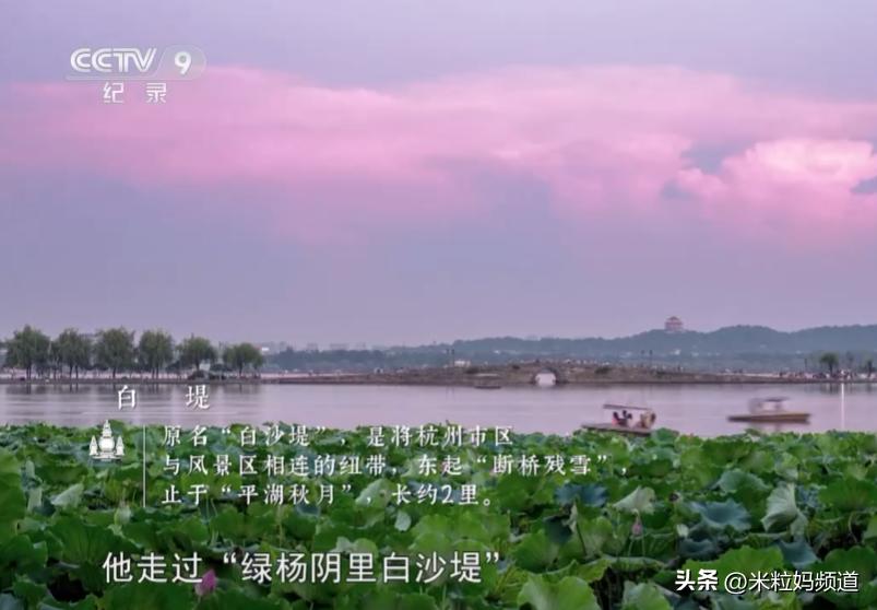 太养眼了！不能出门的日子，我给孩子找到了几个互联网“眼替”