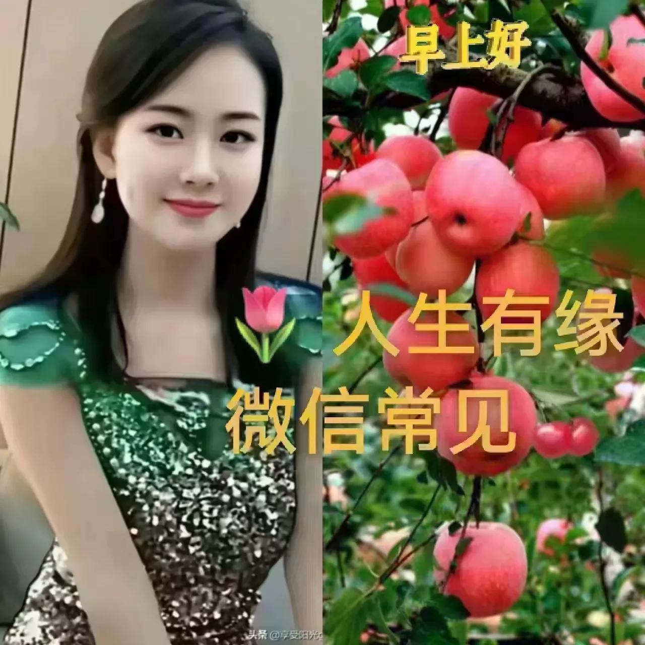 张氏一家亲群早晨问好语集锦（二）“生活哲理类”续整理/张天兴