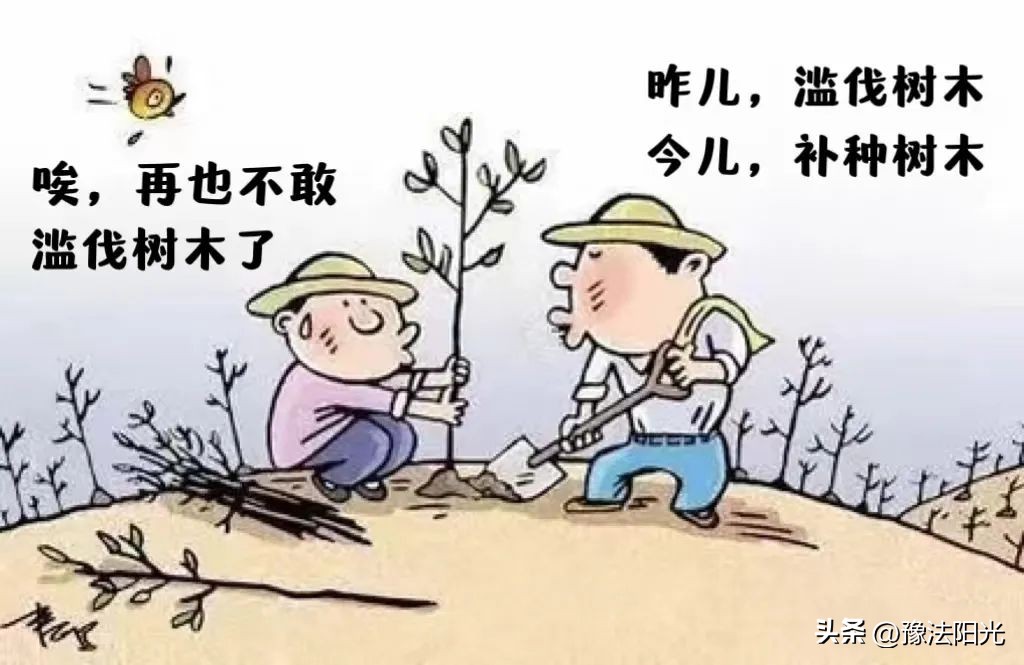 未办理林木采伐许可证砍自己家树,无采伐证就伐树出卖怎么处理