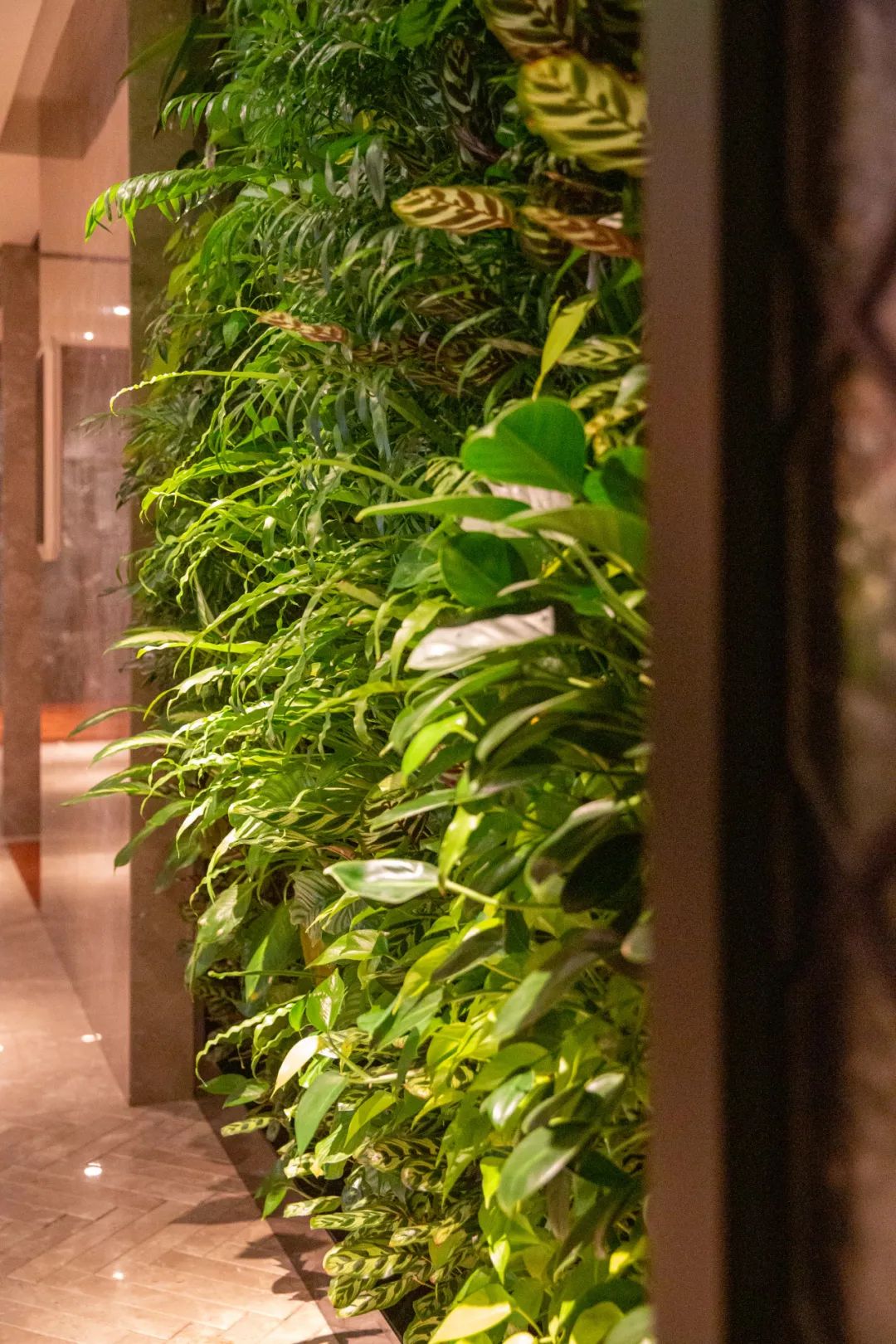 居停中国第四家华尔道夫酒店，奢享美味佳肴，开启鹭岛新玩法！