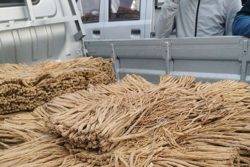 广东出台中药材价格预警方案,中药材价格波动风险