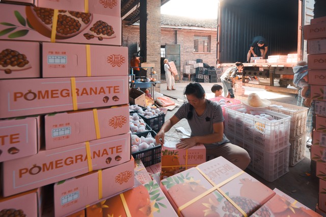 农村电商怎么进入农村市场,农村电商赚钱的方式