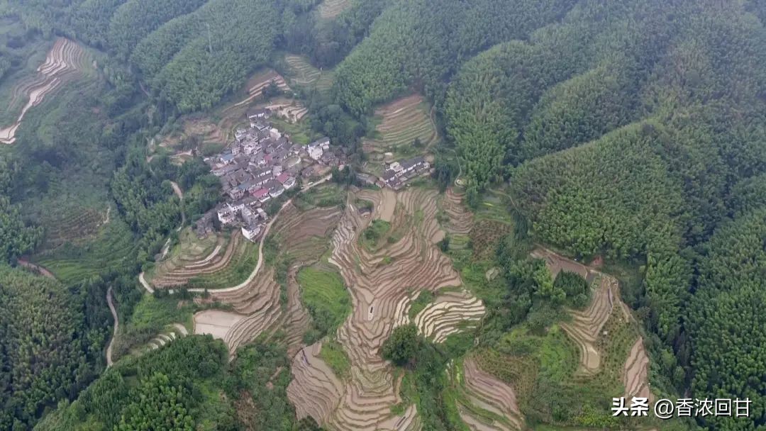 金鸡鲍鱼汤,滋补养生老鹅炖牛鞭