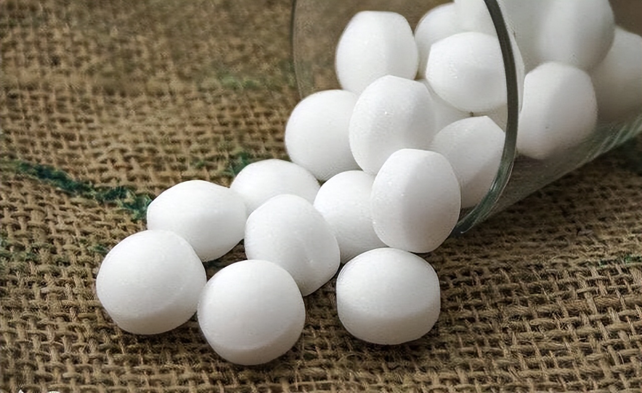 猫怎么养新手养猫需注意问题,猫怎么养新手养猫需注意4大问题