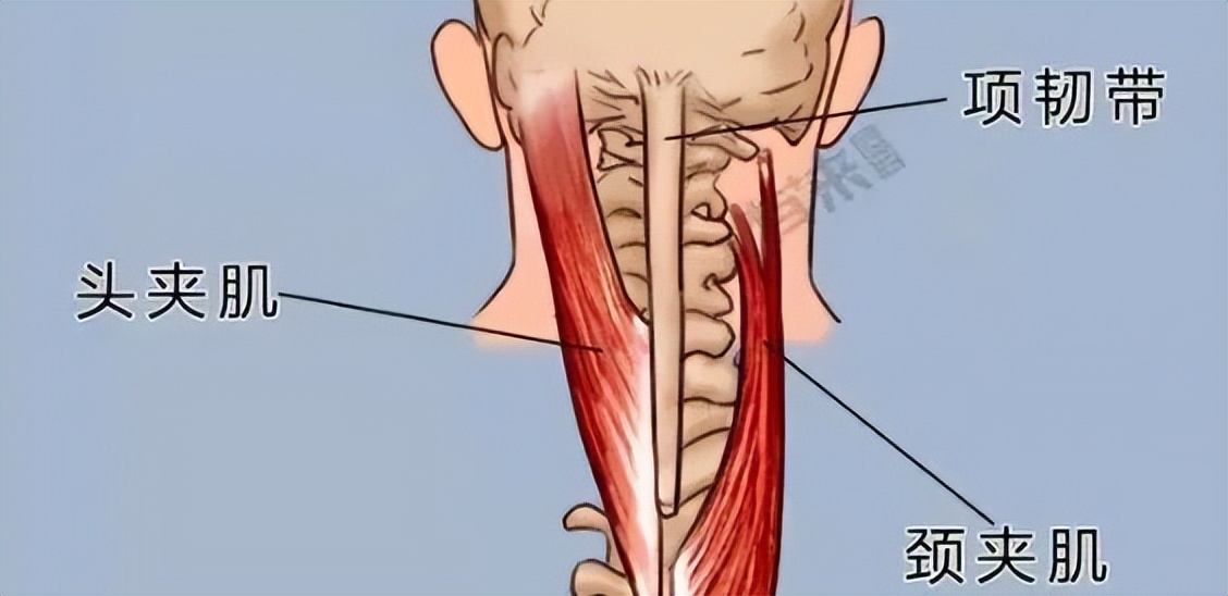 针刺放血哪些穴位治疗失眠,针刺放血治疗失眠吗