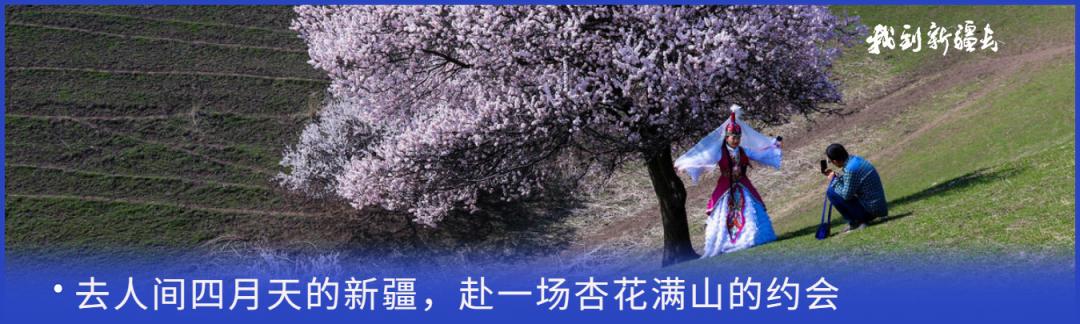 入疆旅游攻略,环疆旅游攻略大全