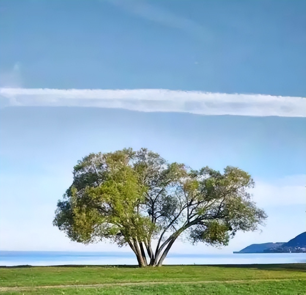 想得开的秘密：我们眼界大了，心就宽了。我们站得高了，事就小了