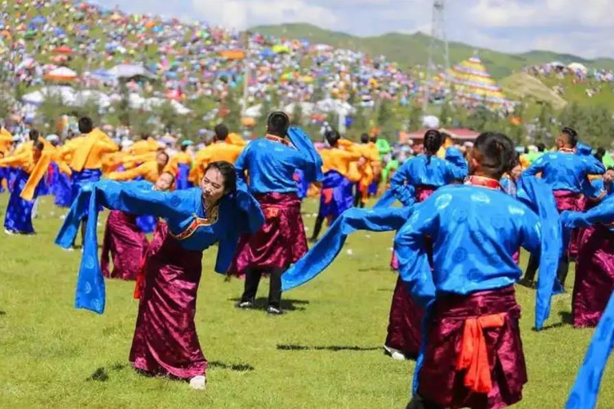 歌声嘹亮锅庄舞煮沸的甘南草原