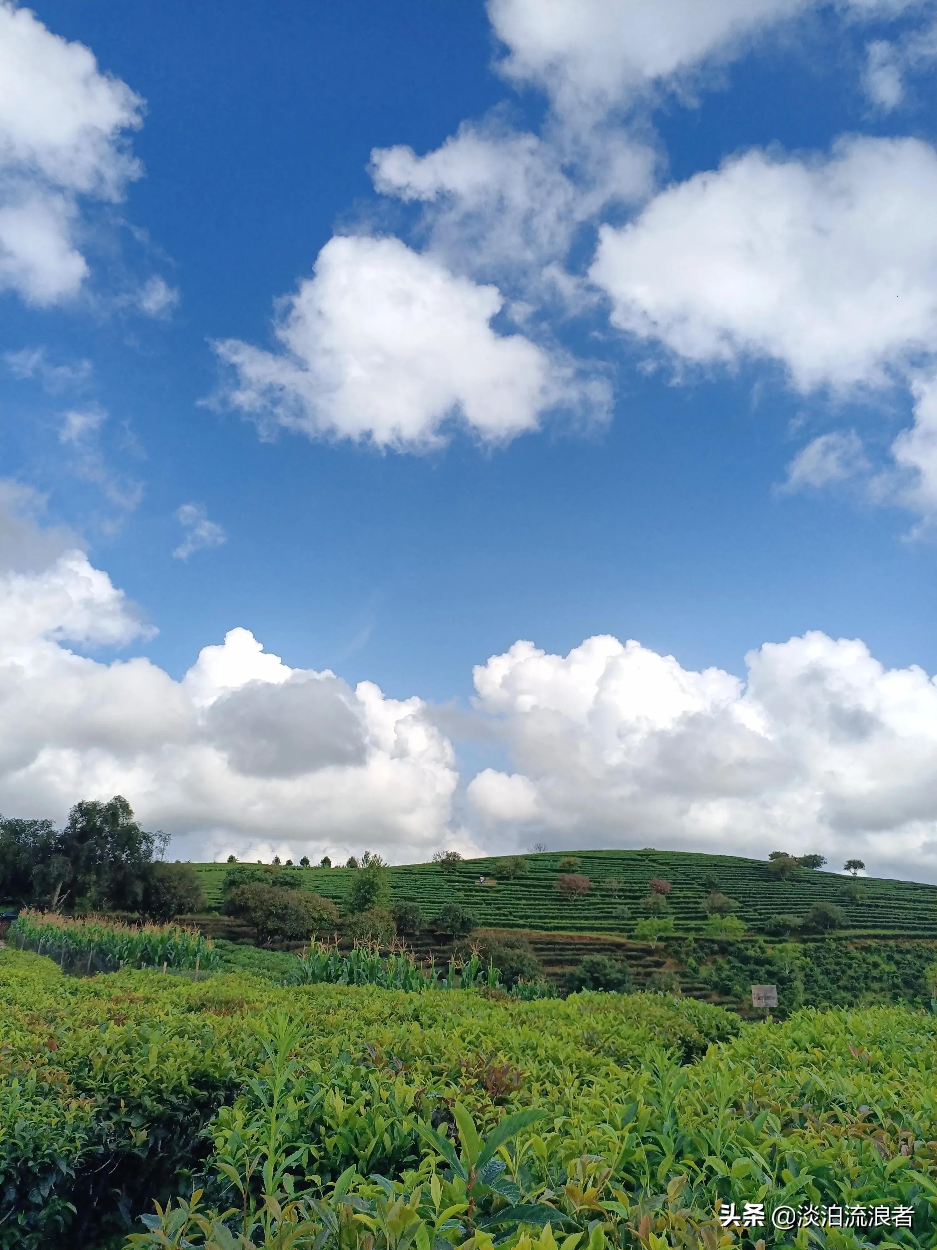 得闲去散散步,散步去云南