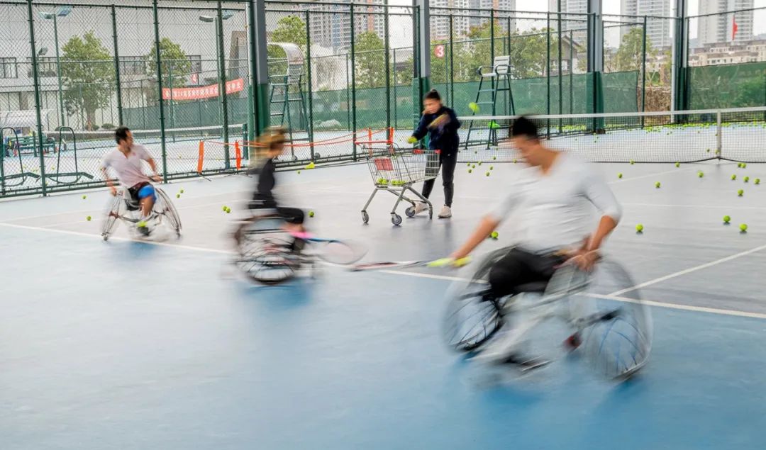 天津津门柴树清,天津津门网柴树清