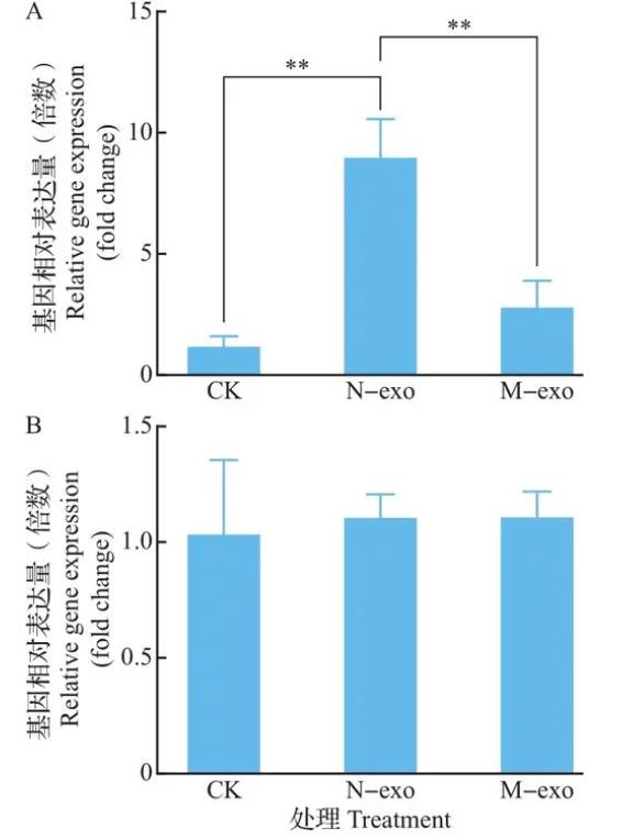 仓鼠会控制体重吗,仓鼠有免疫细胞吗