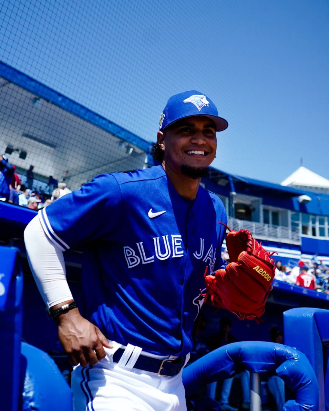 “最强二代”蓝鸟军团，大都会双赛扬压阵，今年的两队大有可为