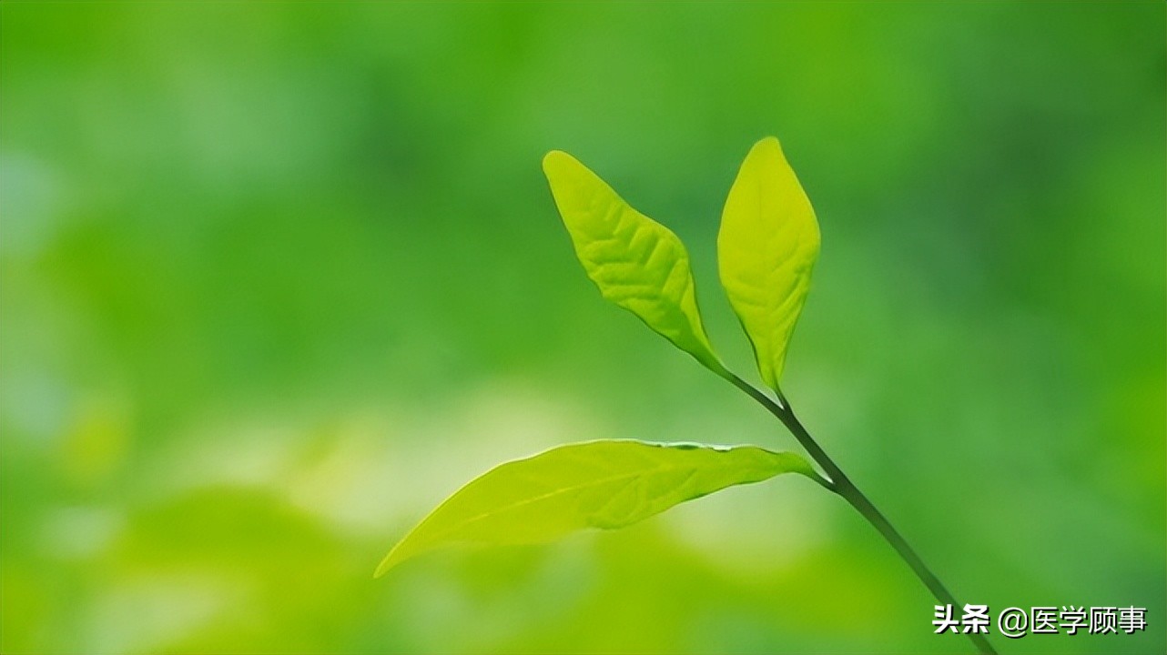 汉朝的气候变迁与王朝兴衰,气候变迁与王朝兴衰书籍