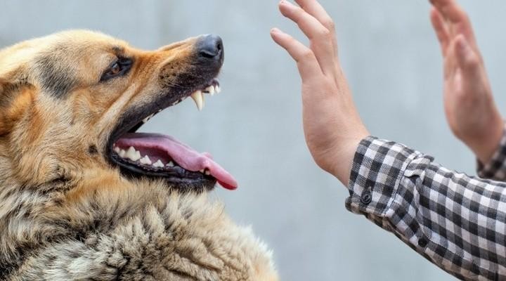 哪怕倾家荡产也治不好？这4种病目前无法根治，请擦亮眼睛