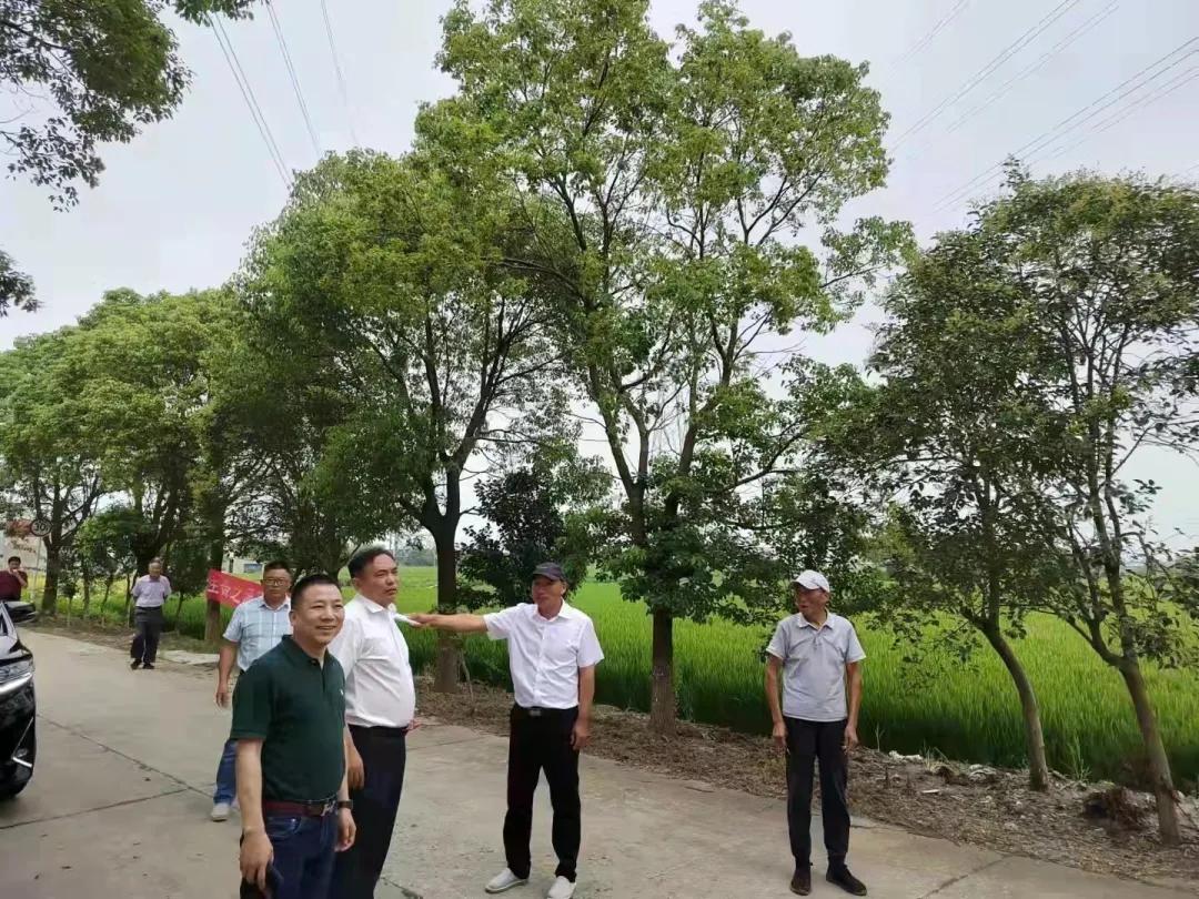 学党史帮扶入户办实事,乡镇学党史办实事清单