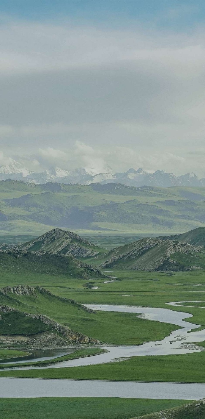 怎么会不喜欢綠色壁纸呢