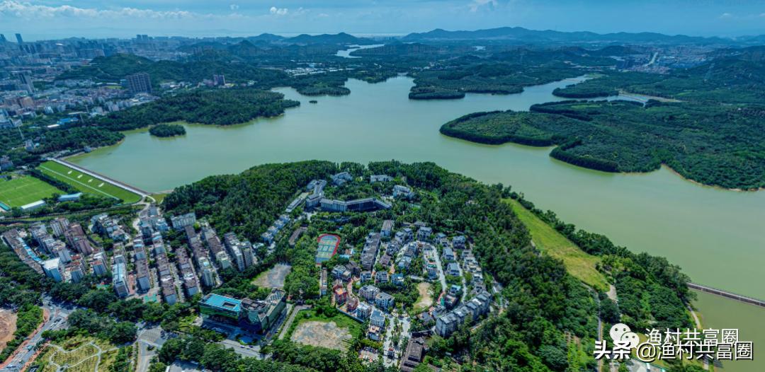 深圳湖景房哪家强?(南山篇)